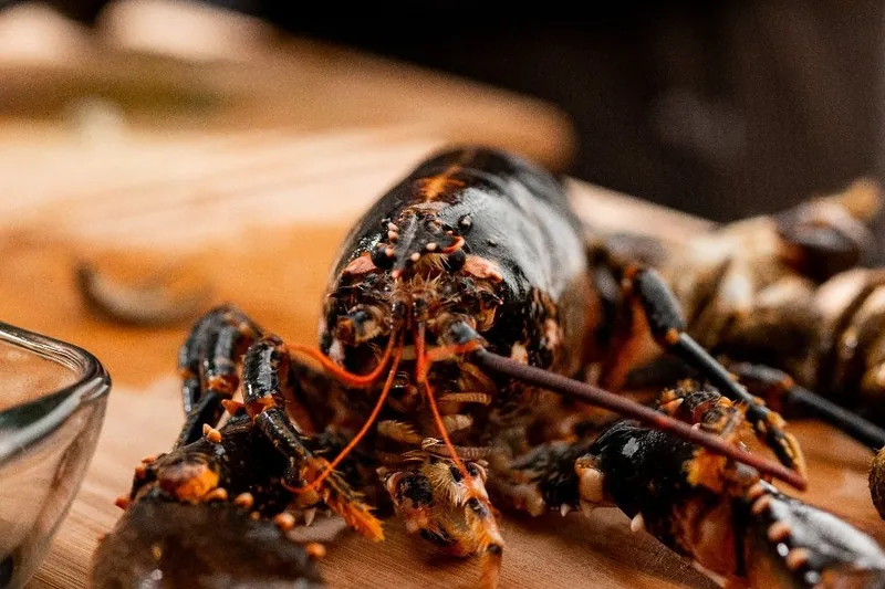 Lobster and shellfish being prepared in the kitchen of the villa
